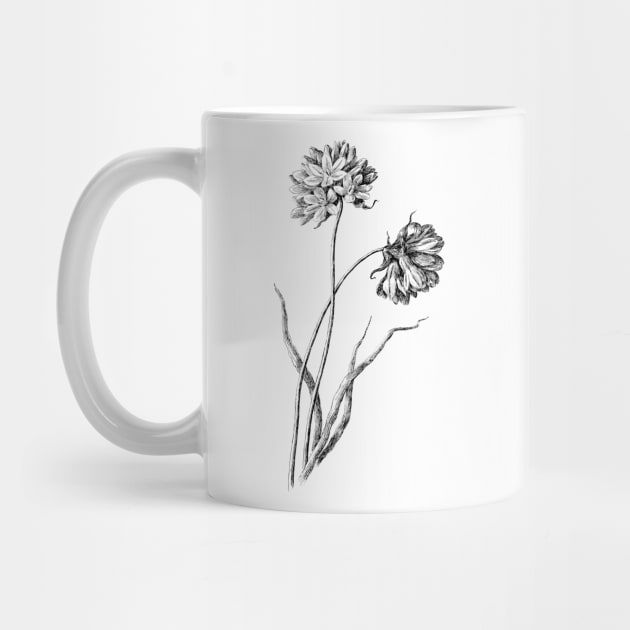 Wildflower Black and White Botanical Illustration by Biophilia